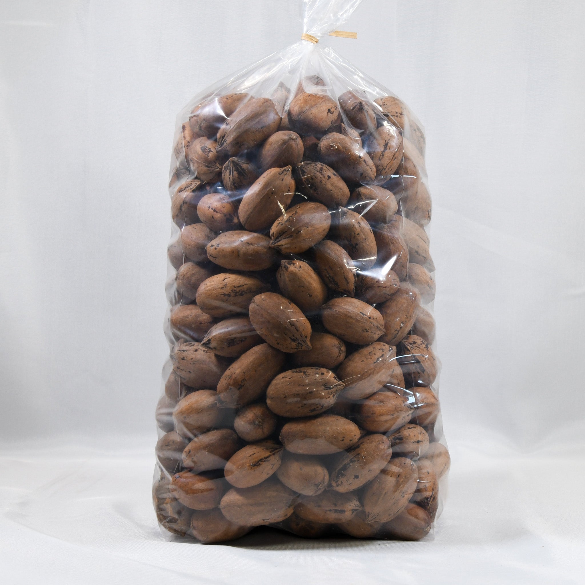 Squirrel Pecans