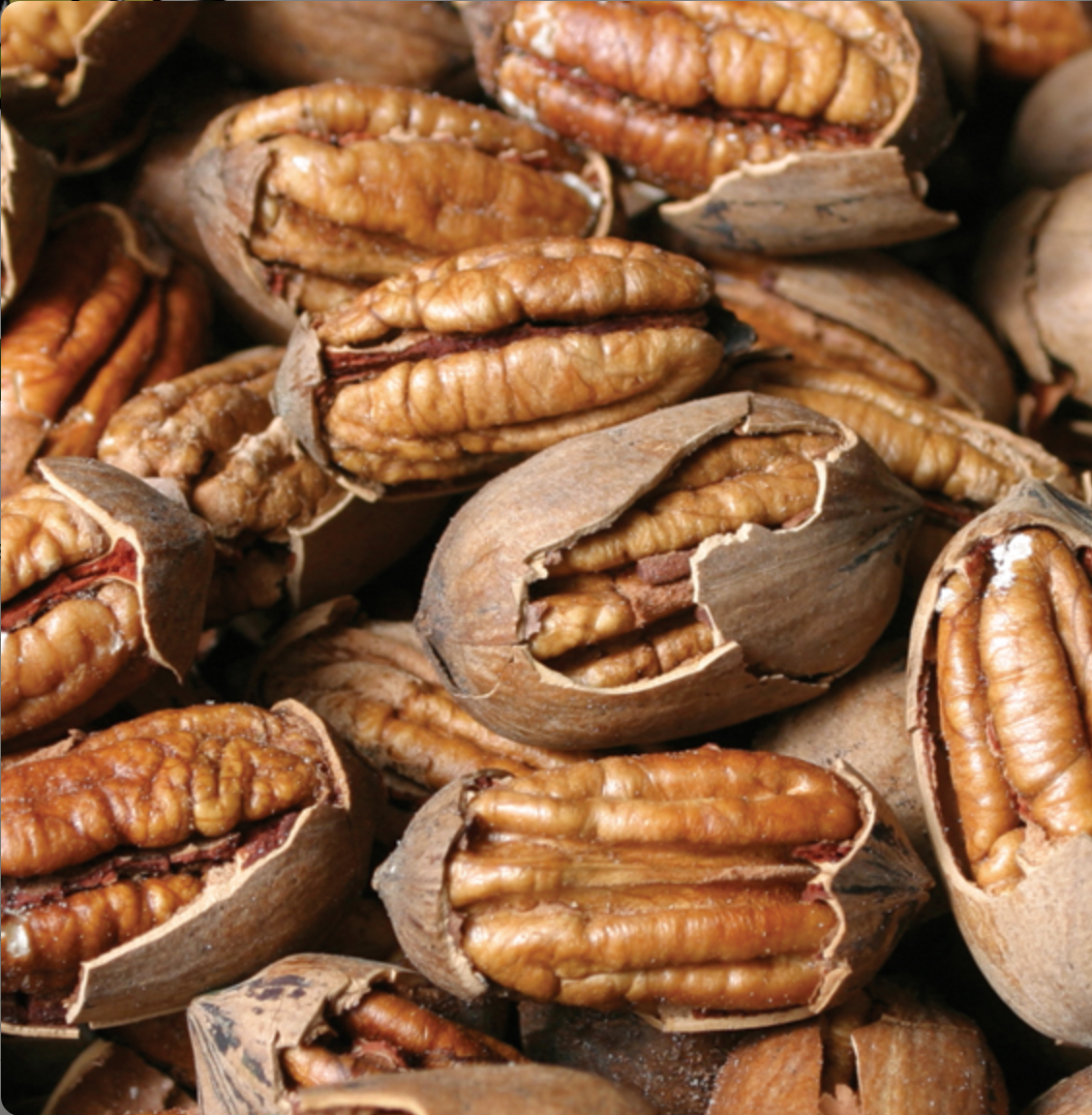 Pre-Order New Crop Cracked Pecans
